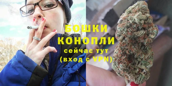 mdpv Заводоуковск